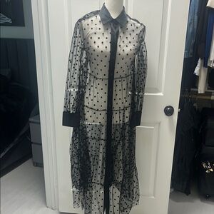 Black Polka Dot Sheer Dress